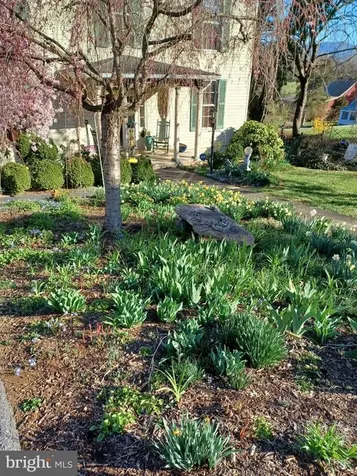 147 Court Street S Luray VA 22835