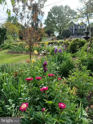 147 Court Street S Luray VA 22835