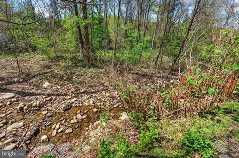 202 Lake Arrowhead Road Luray VA 22835