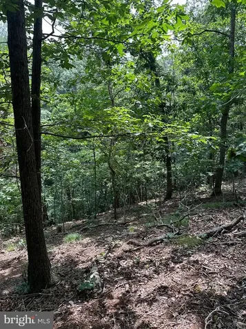 0 Forest Drive Stanley VA 22851