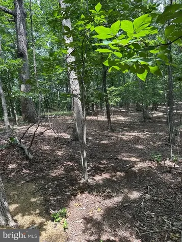 0 Forest Drive Stanley VA 22851