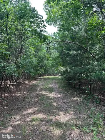 0 Forest Drive Stanley VA 22851
