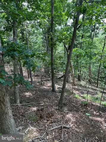0 Forest Drive Stanley VA 22851