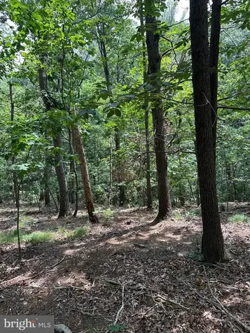 0 Forest Drive Stanley VA 22851