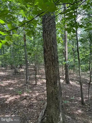 0 Forest Drive Stanley VA 22851