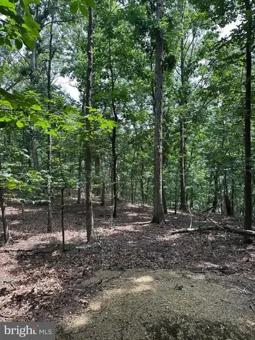 0 Forest Drive Stanley VA 22851