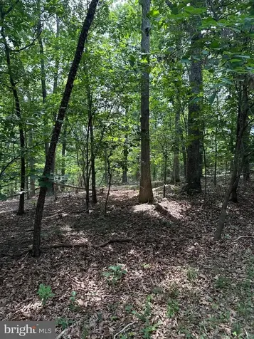 0 Forest Drive Stanley VA 22851