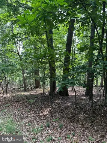 0 Forest Drive Stanley VA 22851
