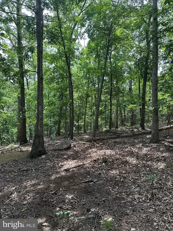 0 Forest Drive Stanley VA 22851