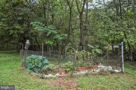 1485 Compton Hollow Road Rileyville VA 22650