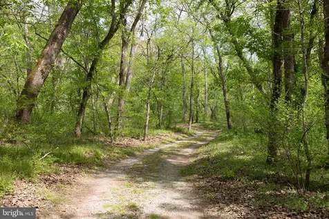 789 Mill Run Road Shenandoah VA 22849