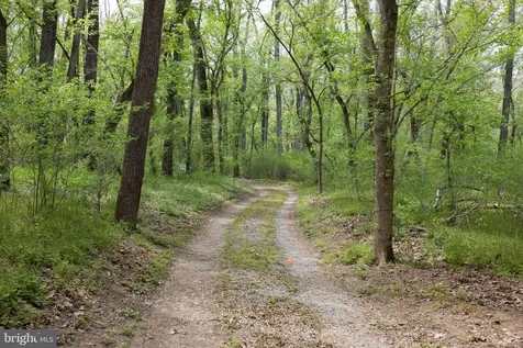 789 Mill Run Road Shenandoah VA 22849