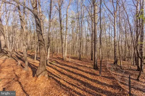 160 Gale Lane Stanley VA 22851
