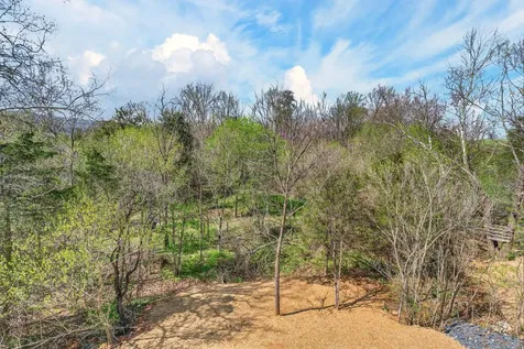 254 Locustdale Loop Shenandoah VA 22849