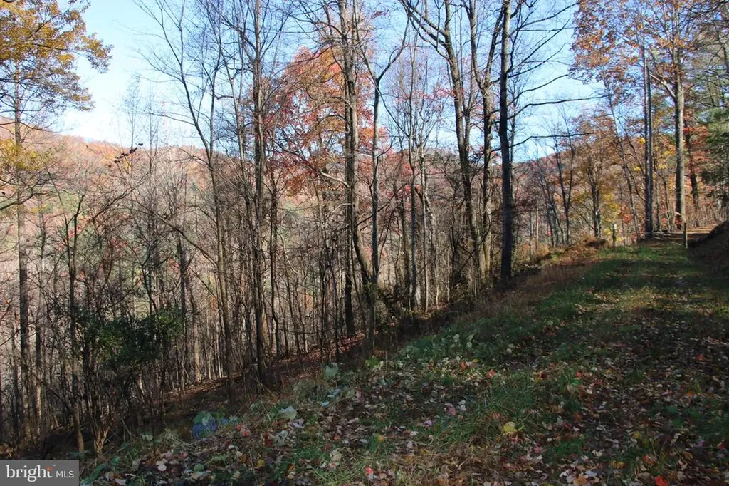 0 Overlook Mountain Road Elkton VA 22827