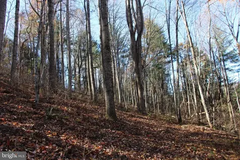 0 Overlook Mountain Road Elkton VA 22827