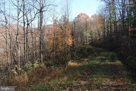 0 Overlook Mountain Road Elkton VA 22827