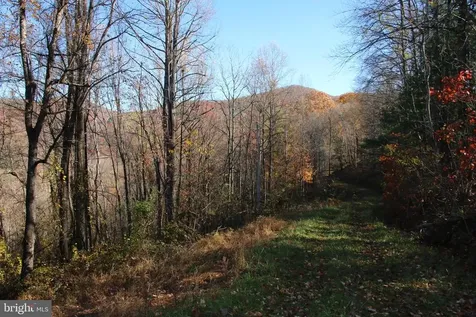 0 Overlook Mountain Road Elkton VA 22827