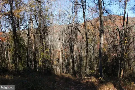 0 Overlook Mountain Road Elkton VA 22827
