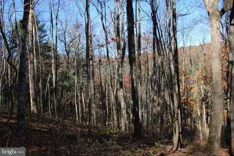 0 Overlook Mountain Road Elkton VA 22827