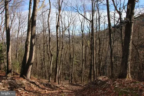 Valley Burg Road Luray VA 22835