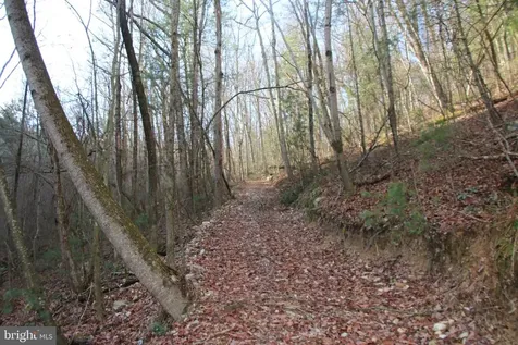 Valley Burg Road Luray VA 22835