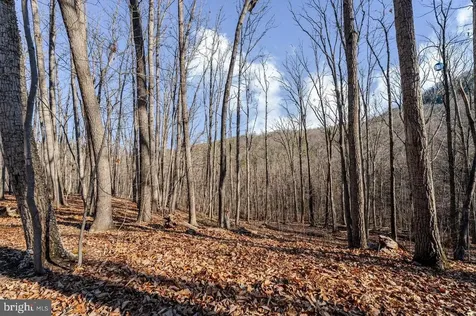 345 Wildwood Lane Shenandoah VA 22849