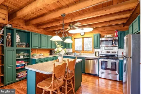 1660 Canoe River Drive Rileyville VA 22650