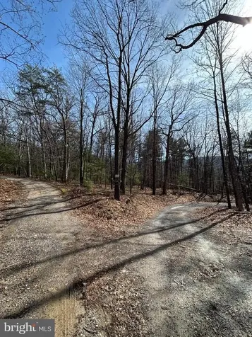 301 Abbotts Lane Rileyville VA 22650