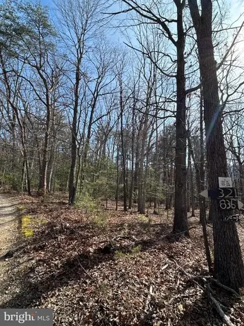 301 Abbotts Lane Rileyville VA 22650