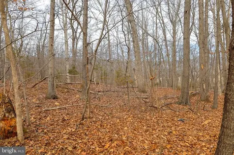 Riverbend Drive Luray VA 22835