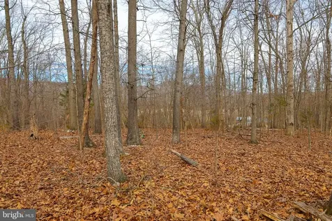 Riverbend Drive Luray VA 22835