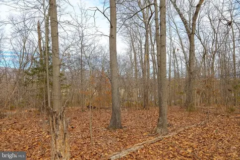 Riverbend Drive Luray VA 22835