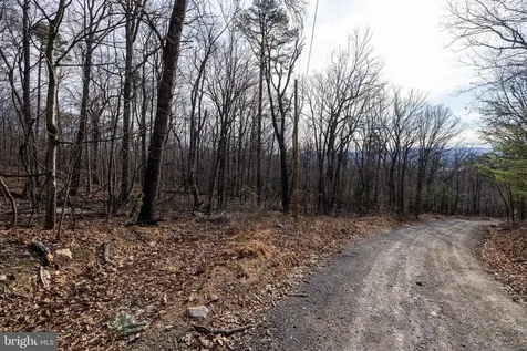 National Forest Access Road Luray VA 22835
