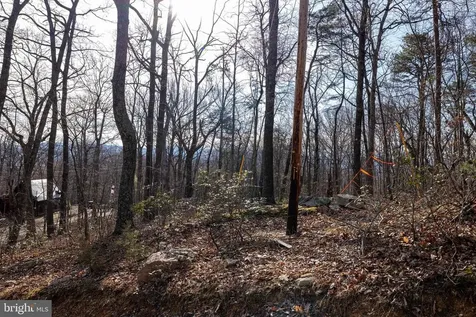 National Forest Access Road Luray VA 22835
