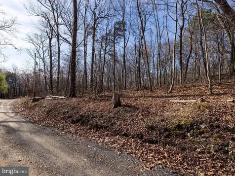 National Forest Access Road Luray VA 22835
