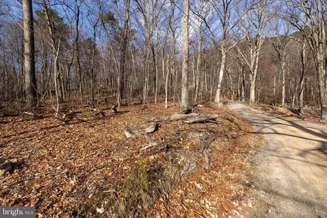 National Forest Access Road Luray VA 22835