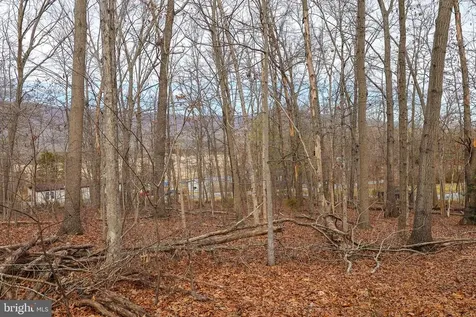 Riverbend Drive Luray VA 22835