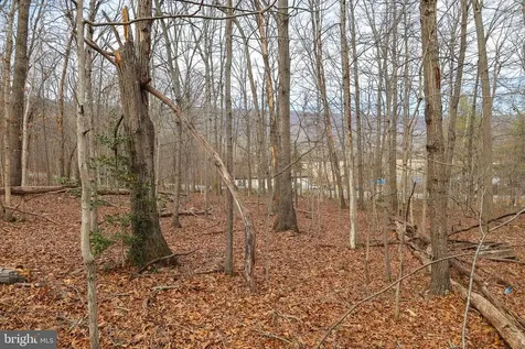 Riverbend Drive Luray VA 22835