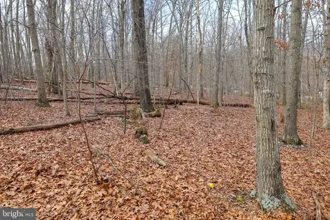 Riverbend Drive Luray VA 22835