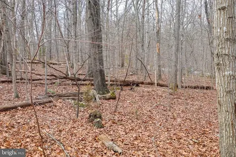 Riverbend Drive Luray VA 22835