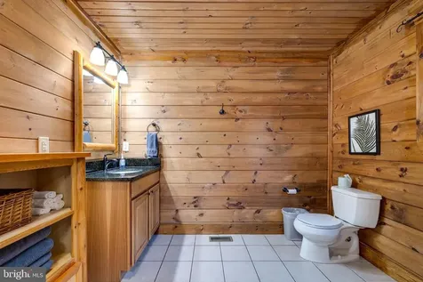 259 Log Home Place Stanley VA 22851