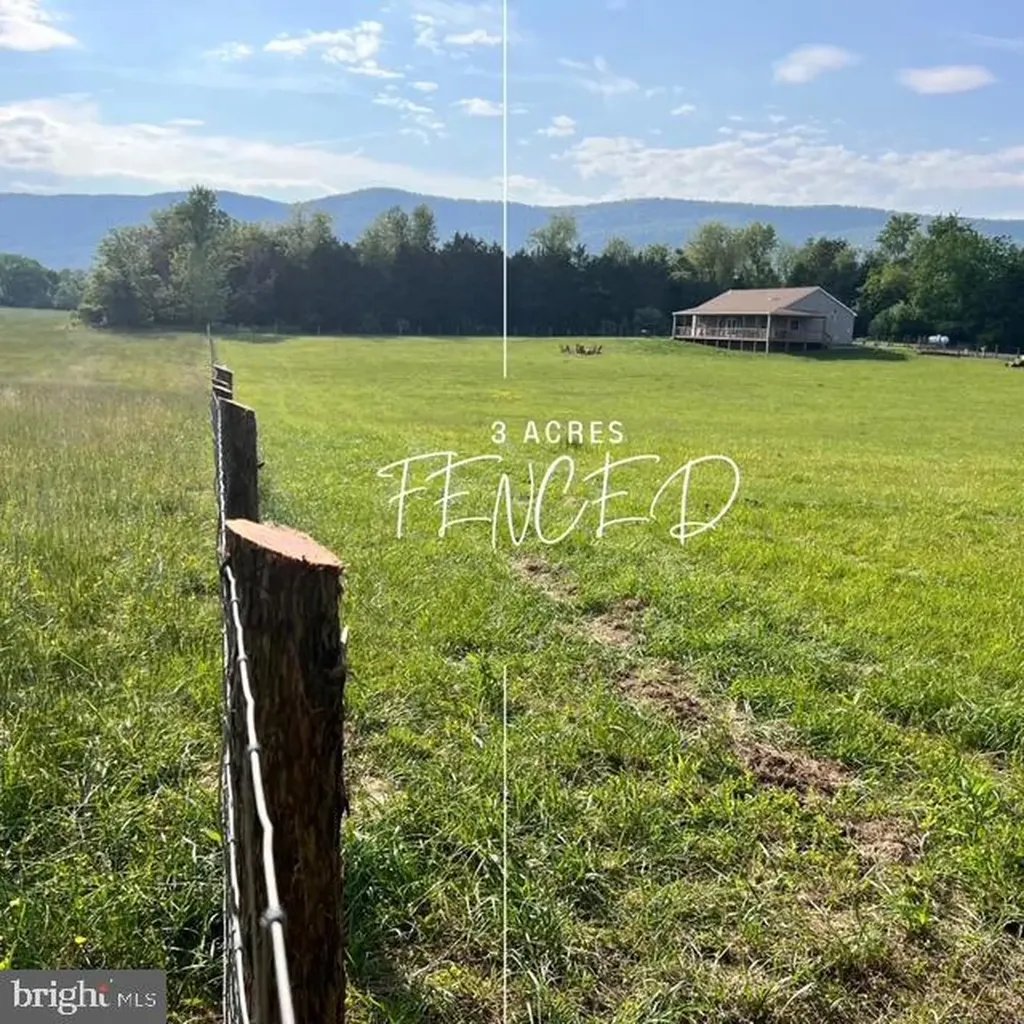 1195 Mountain View Drive Rileyville VA 22650