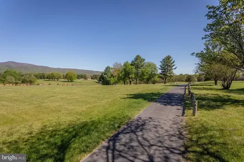 Beall Avenue Luray VA 22835