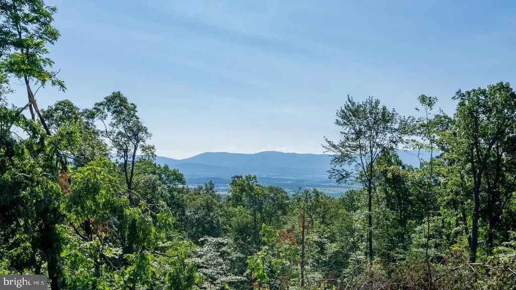 531 Forest Drive Extension Luray VA 22835