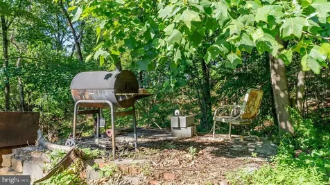 531 Forest Drive Extension Luray VA 22835