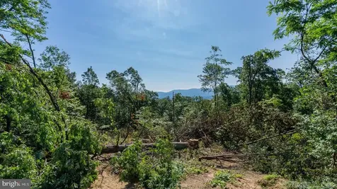 531 Forest Drive Extension Luray VA 22835