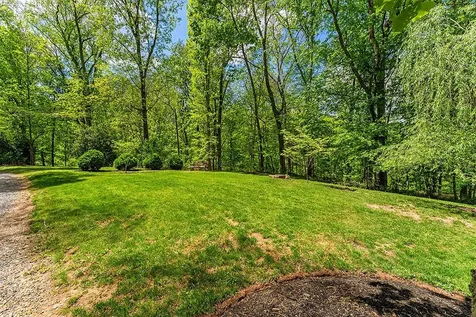 4439 Old Forge Road Luray VA 22835