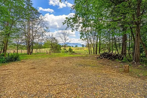 4439 Old Forge Road Luray VA 22835