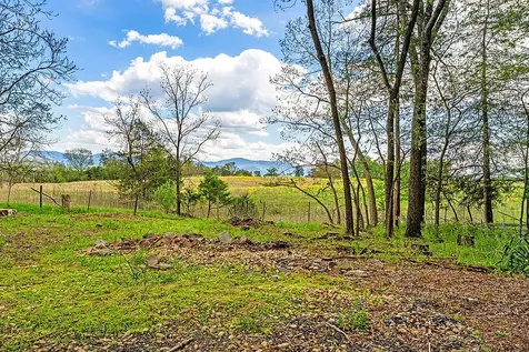 4439 Old Forge Road Luray VA 22835